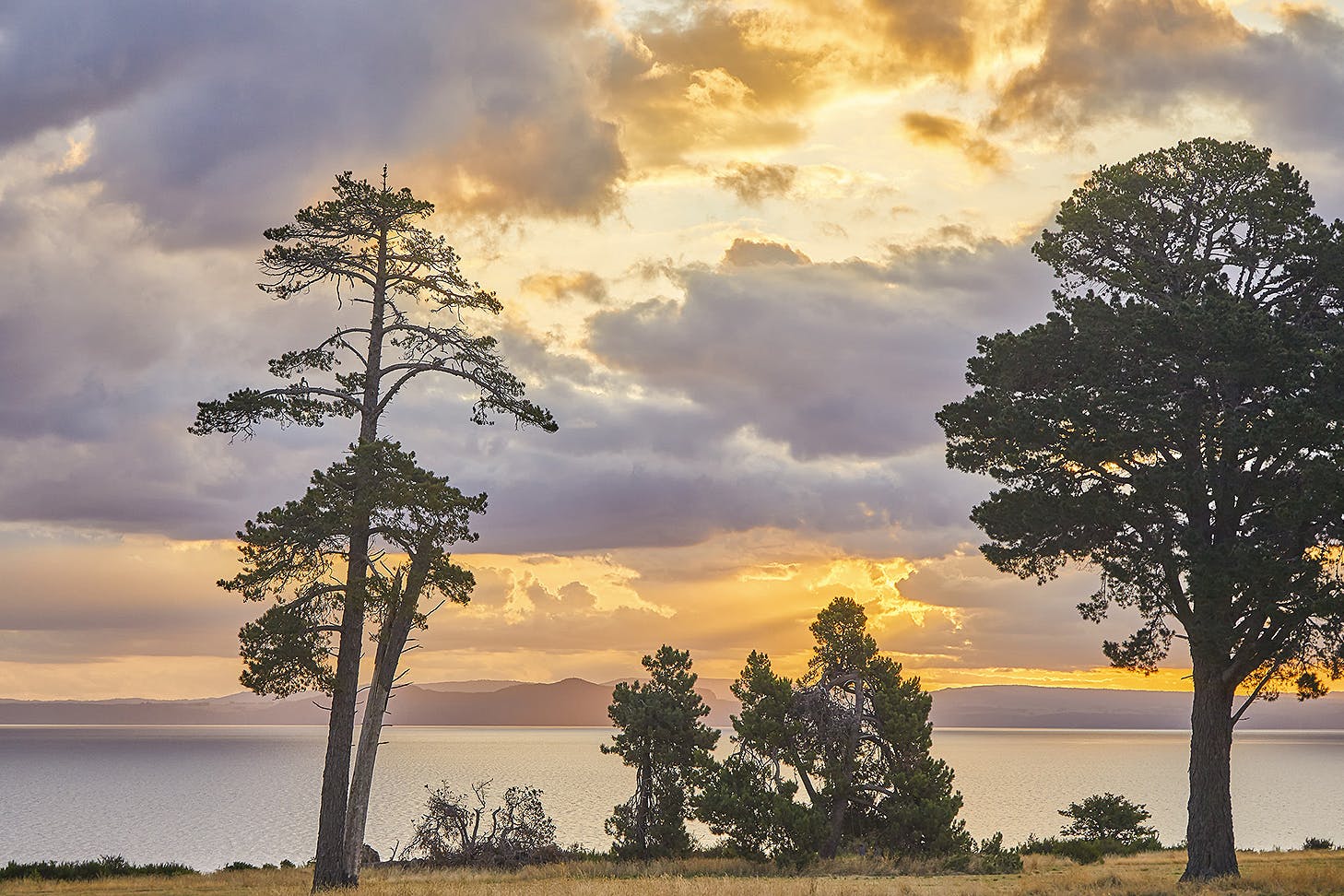Moody sunset scene of trees and lake Taupo with mountain range in background in late afternoon light as the sun sets,Lake Taupo,Waikato,North Island,New Zealand